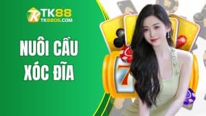 Nuôi Cầu Xóc Đĩa Hiệu Quả Cùng Chuyên Gia TK88